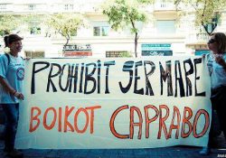 ¡Mujeres y madres, Mujeres y trabajadoras, Mujeres y luchadoras! ¡Solidaridad con Vanessa! ¡Caprabo prohíbe ser madre!