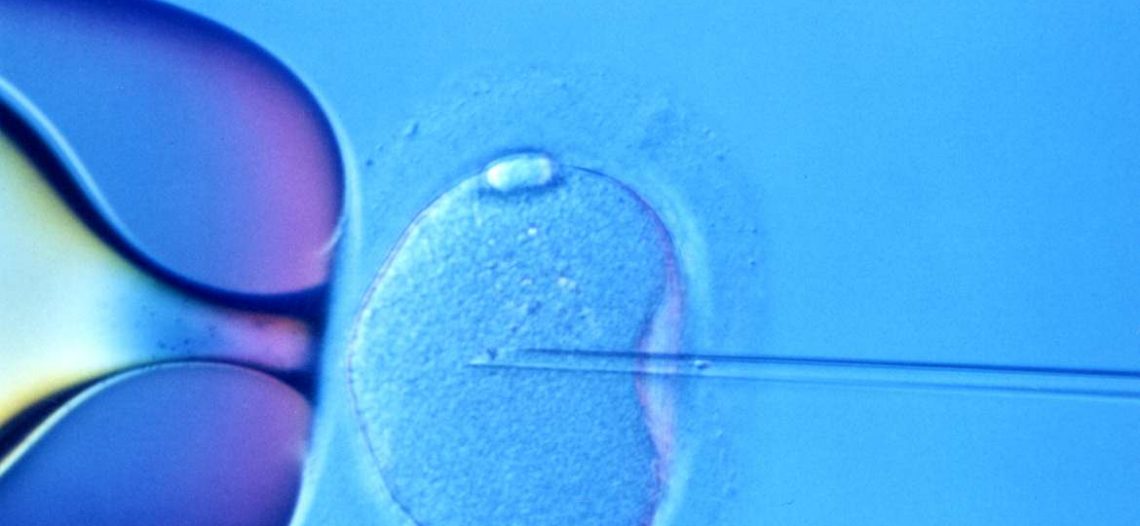 No tenéis derecho a la reproducción asistida, por lesbianas