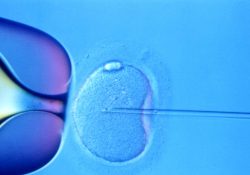 No tenéis derecho a la reproducción asistida, por lesbianas