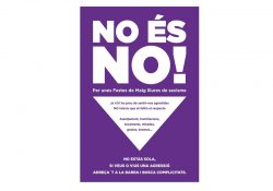 Organizaciones de mujeres proponen un “Protocolo contra las agresiones sexistas”