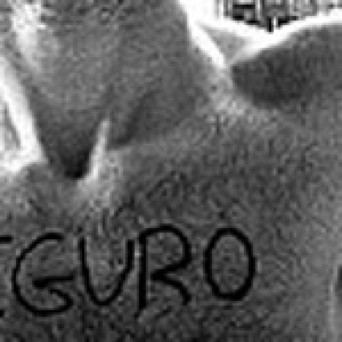 Campaña por el derecho al aborto libre, seguro y gratuito