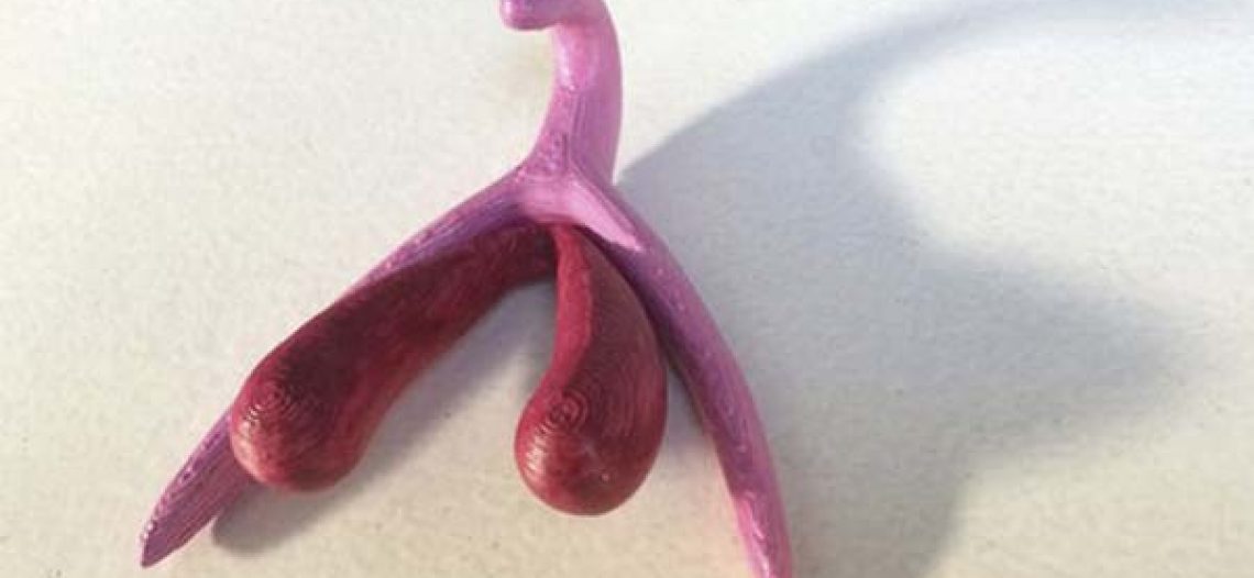 Voilà, el clítoris: una reproducción en 3D para conocer el placer femenino