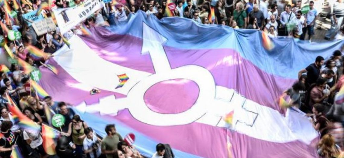 La Plataforma por los Derechos Trans pide más implicación a las instituciones