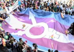 La Plataforma por los Derechos Trans pide más implicación a las instituciones