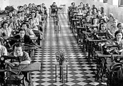 Las mujeres también ganaron el pan: trabajo y género durante el franquismo