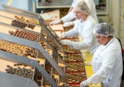 Trabajos sin rosas para las mujeres: precarización y menores salarios